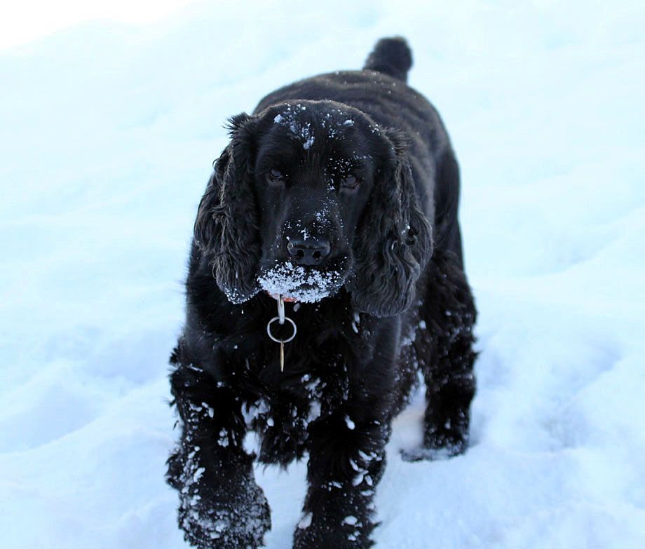 IMAGE: http://i33.photobucket.com/albums/d91/kawwauser/IMG_5639_zps111d602d.jpg