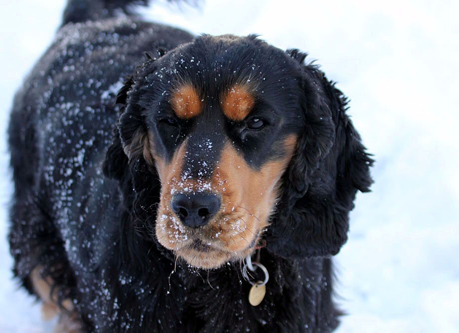 IMAGE: http://i33.photobucket.com/albums/d91/kawwauser/IMG_5649_zpsab55c88c.jpg