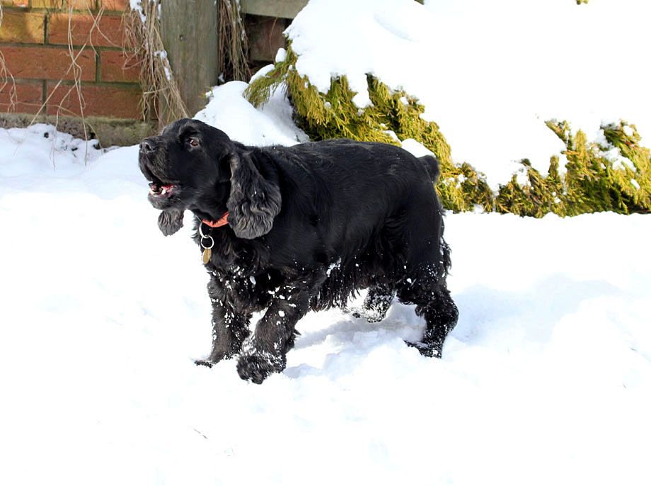 IMAGE: http://i33.photobucket.com/albums/d91/kawwauser/IMG_5653_zps81b92b5b.jpg