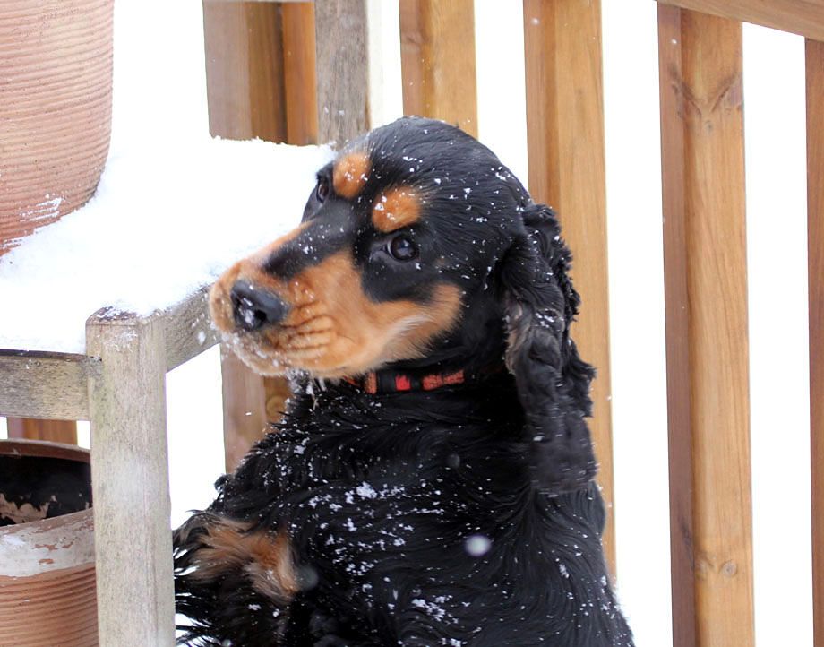 IMAGE: http://i33.photobucket.com/albums/d91/kawwauser/IMG_5670_zpsa201c580.jpg