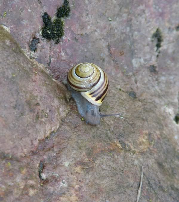 IMAGE: http://i33.photobucket.com/albums/d91/kawwauser/IMG_8403.jpg