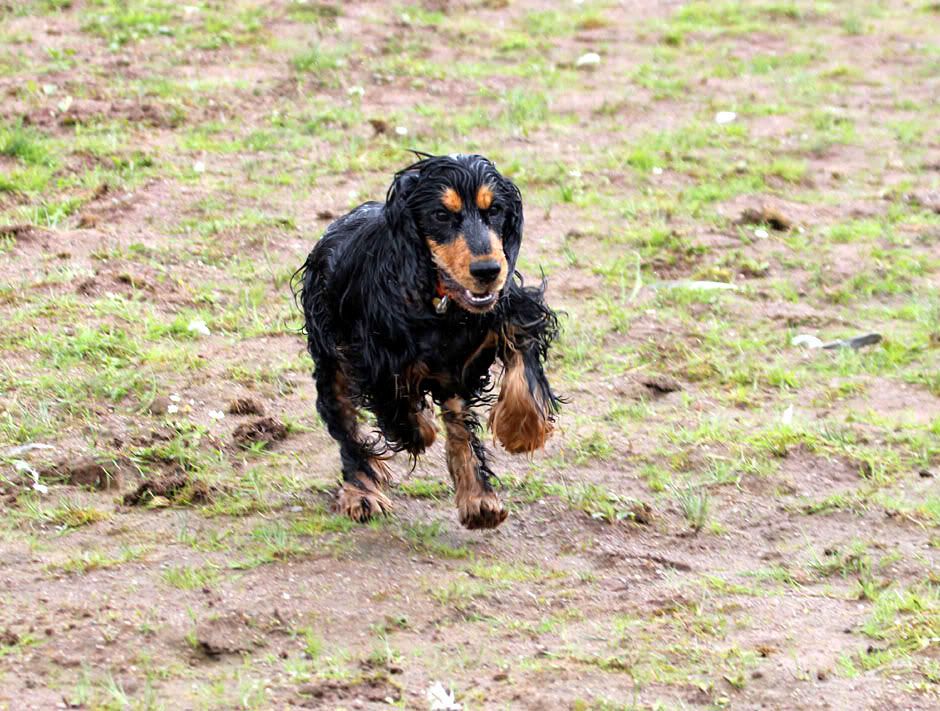 IMAGE: http://i33.photobucket.com/albums/d91/kawwauser/IMG_9178.jpg