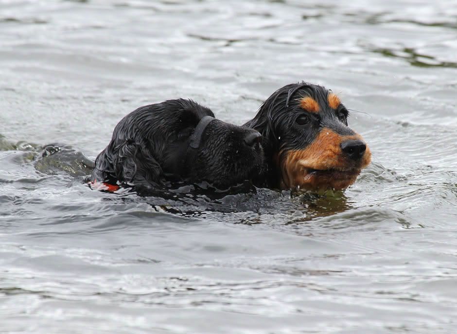 IMAGE: http://i33.photobucket.com/albums/d91/kawwauser/IMG_9202.jpg