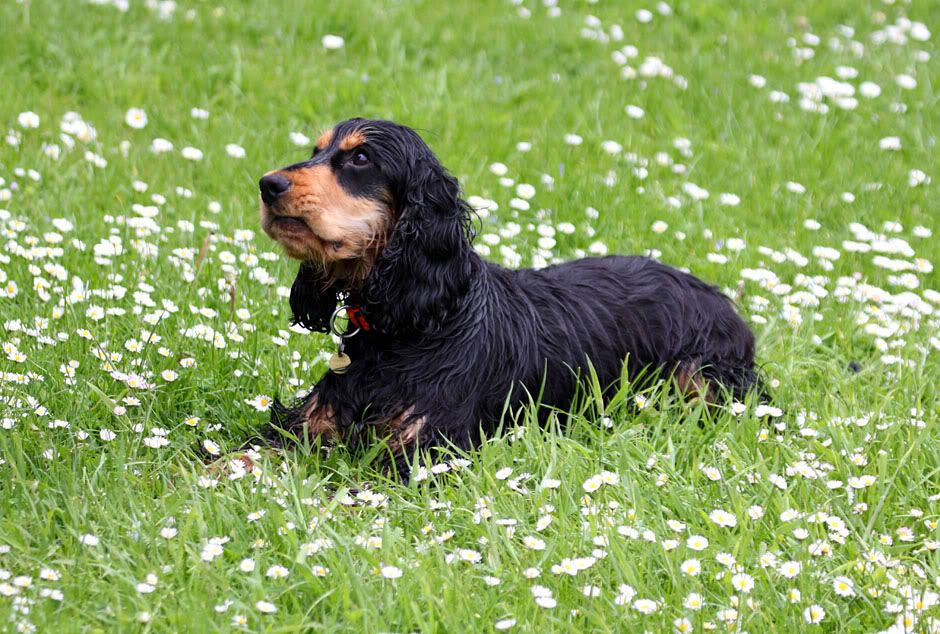 IMAGE: http://i33.photobucket.com/albums/d91/kawwauser/IMG_9290.jpg