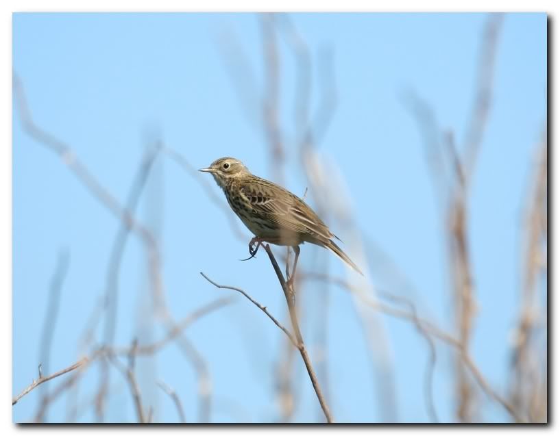 IMAGE: http://i33.photobucket.com/albums/d91/kawwauser/Picture779.jpg