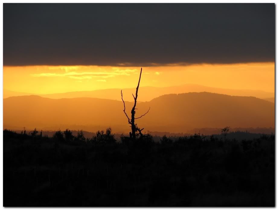 IMAGE: http://i33.photobucket.com/albums/d91/kawwauser/SUN.jpg