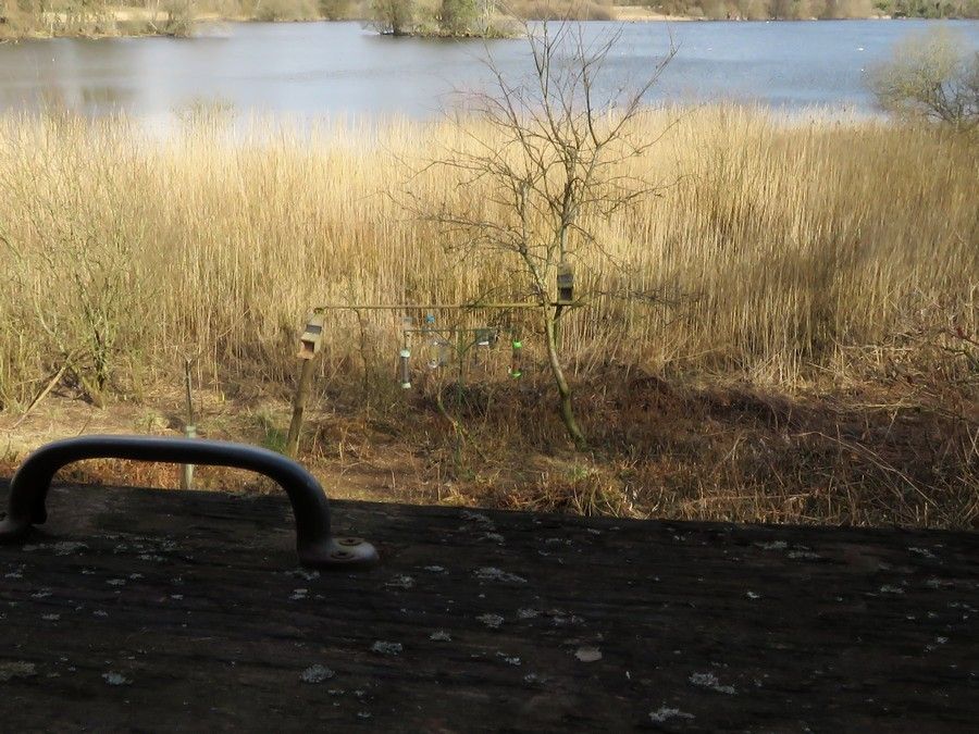 IMAGE: http://i33.photobucket.com/albums/d91/kawwauser/balgavies_zpsuzyhhdsm.jpg