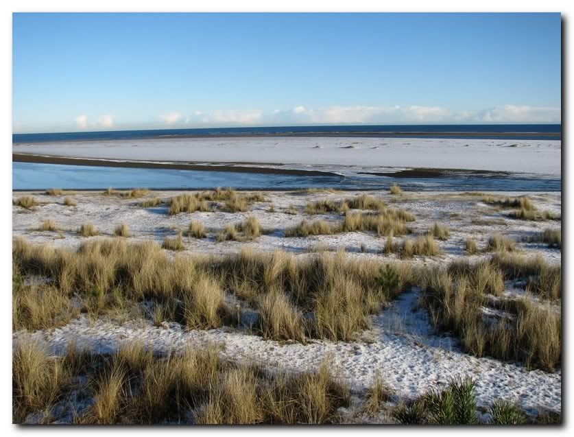 IMAGE: http://i33.photobucket.com/albums/d91/kawwauser/bch3.jpg