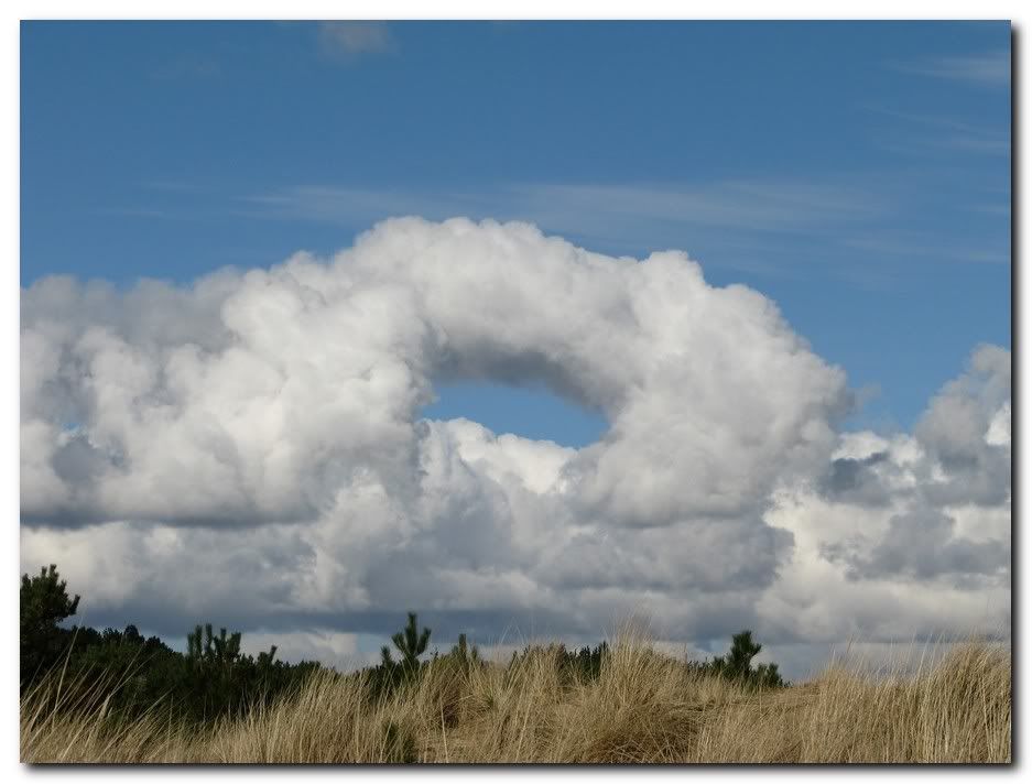 IMAGE: http://i33.photobucket.com/albums/d91/kawwauser/cloud1.jpg