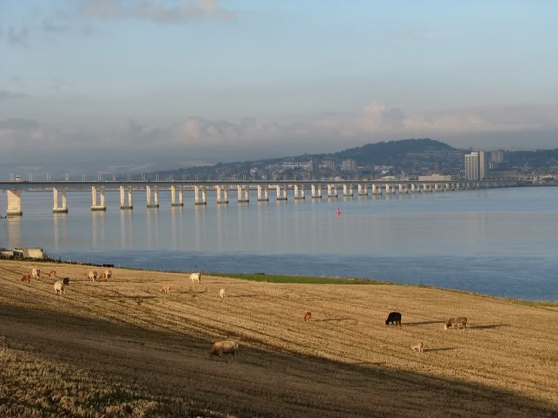 IMAGE: http://i33.photobucket.com/albums/d91/kawwauser/dundee2-1.jpg