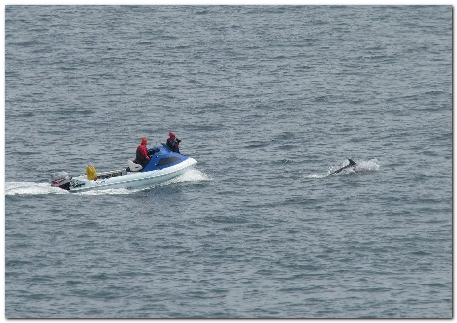 IMAGE: http://i33.photobucket.com/albums/d91/kawwauser/film.jpg