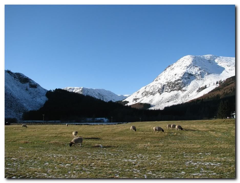 IMAGE: http://i33.photobucket.com/albums/d91/kawwauser/gd4s.jpg