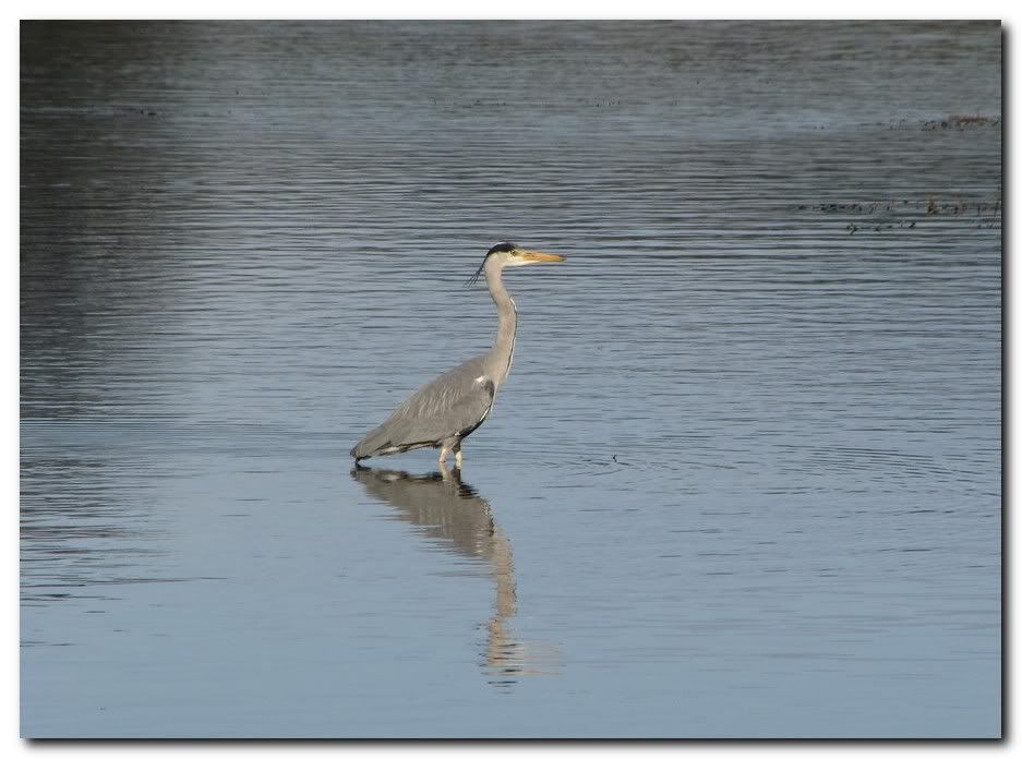 IMAGE: http://i33.photobucket.com/albums/d91/kawwauser/hr2.jpg