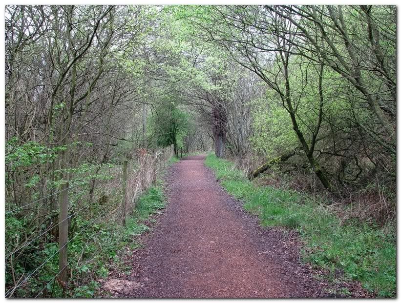 IMAGE: http://i33.photobucket.com/albums/d91/kawwauser/l1.jpg