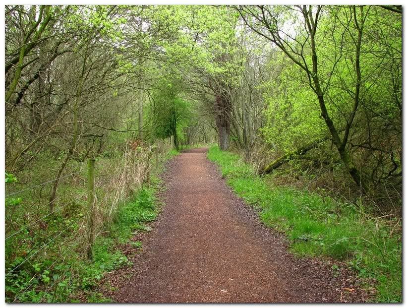 IMAGE: http://i33.photobucket.com/albums/d91/kawwauser/l2.jpg