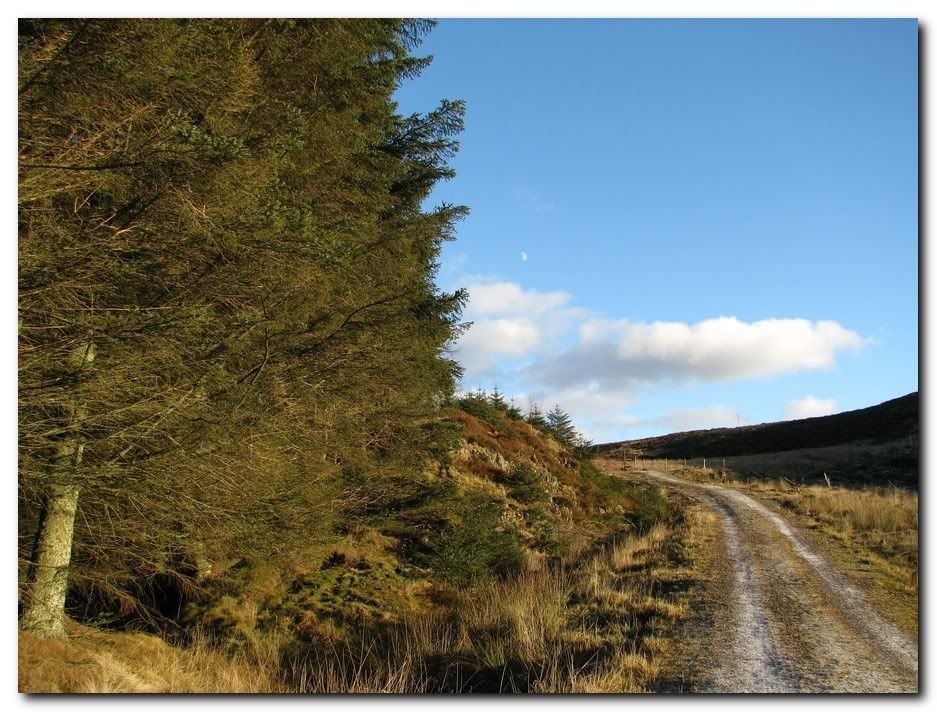 IMAGE: http://i33.photobucket.com/albums/d91/kawwauser/lndie1.jpg