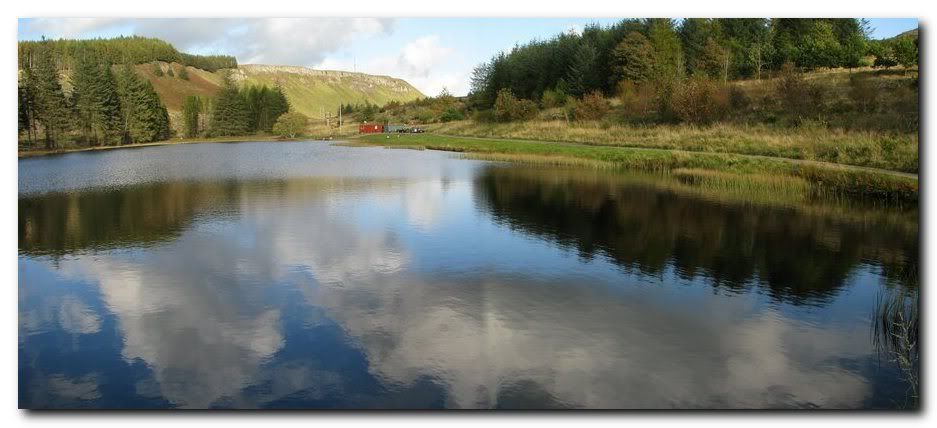 IMAGE: http://i33.photobucket.com/albums/d91/kawwauser/moncriefs5c.jpg