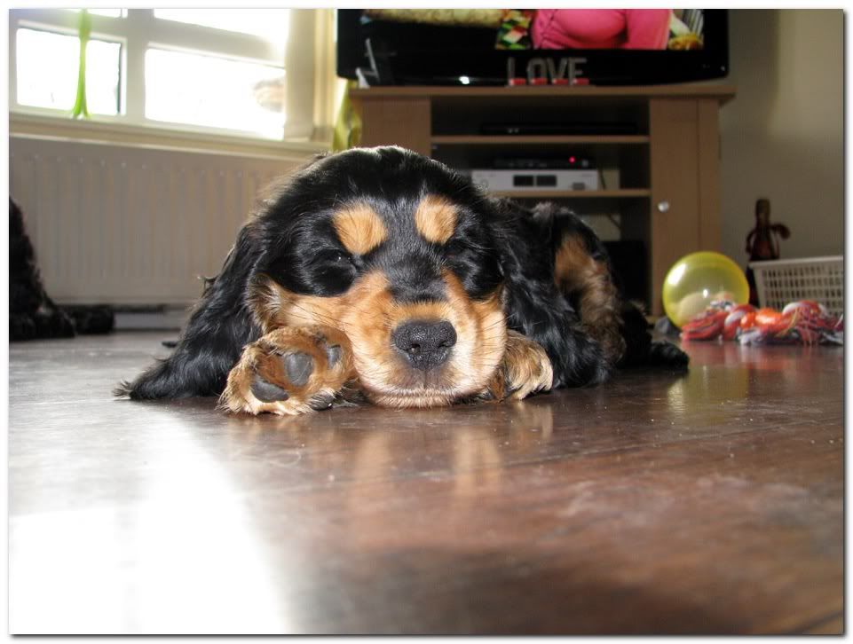 IMAGE: http://i33.photobucket.com/albums/d91/kawwauser/q2bx.jpg