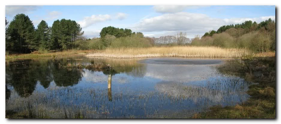 IMAGE: http://i33.photobucket.com/albums/d91/kawwauser/railb.jpg