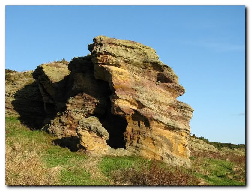 IMAGE: http://i33.photobucket.com/albums/d91/kawwauser/rock.jpg