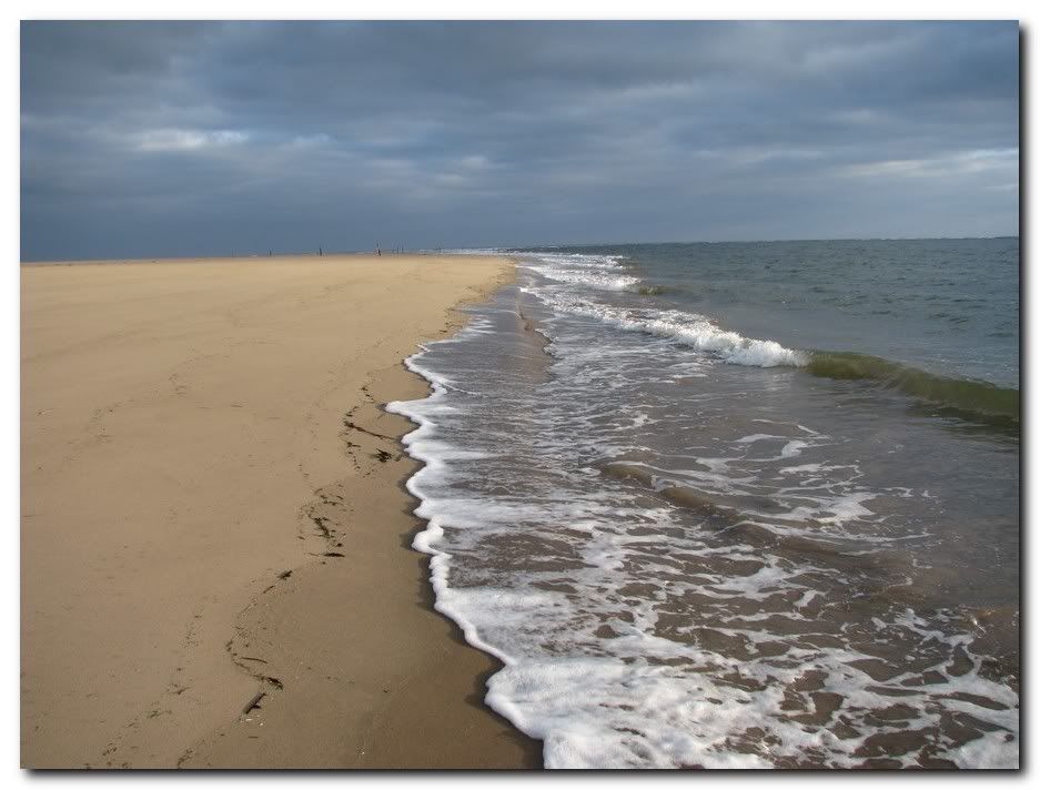 IMAGE: http://i33.photobucket.com/albums/d91/kawwauser/tents1.jpg