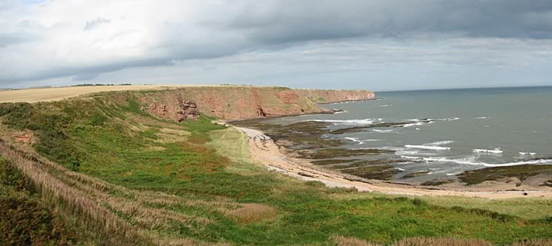 IMAGE: http://i33.photobucket.com/albums/d91/kawwauser/vvvc.jpg