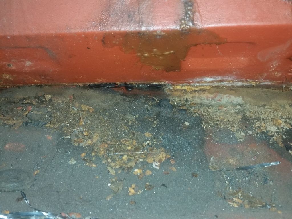 20150613_102611.jpg