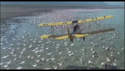 re: I had a farm in Africa...