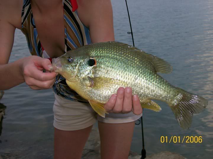 mokina_bluegill2.jpg