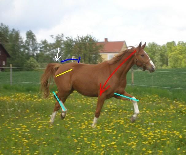 KopiaavBild016.jpg