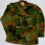 th_dutch_army_jungle_camo.jpg