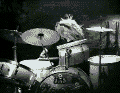th_animal.gif