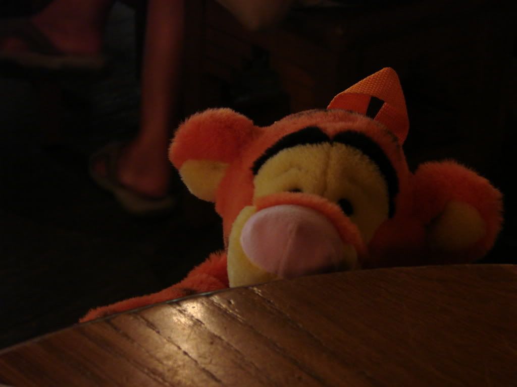 DSC00094.jpg