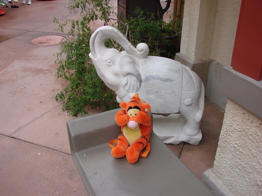 DSC00210.jpg