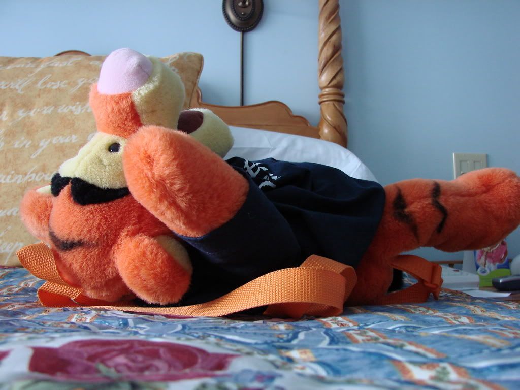 DSC00410.jpg