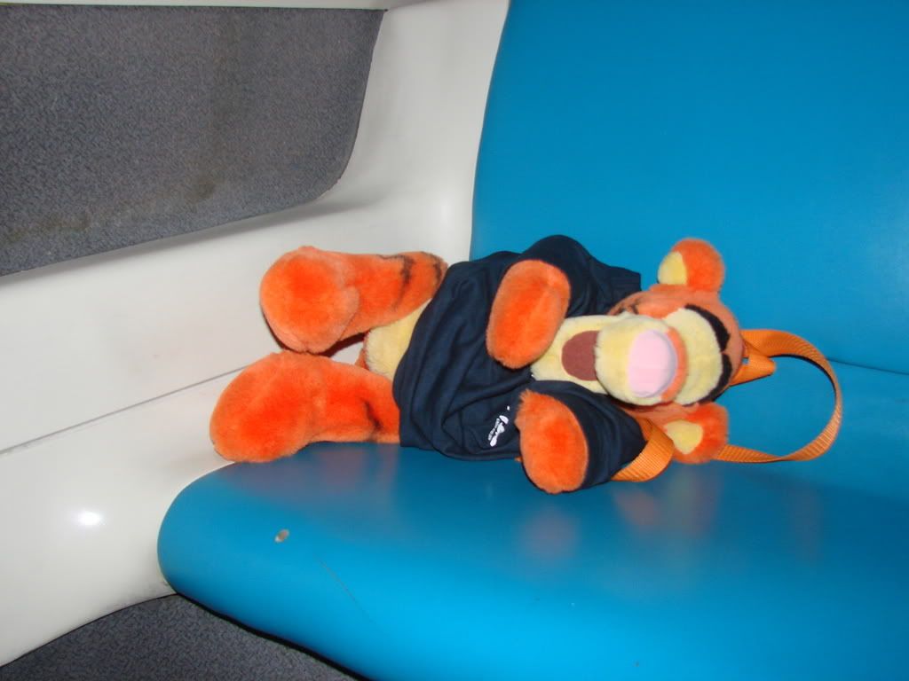 DSC00441.jpg