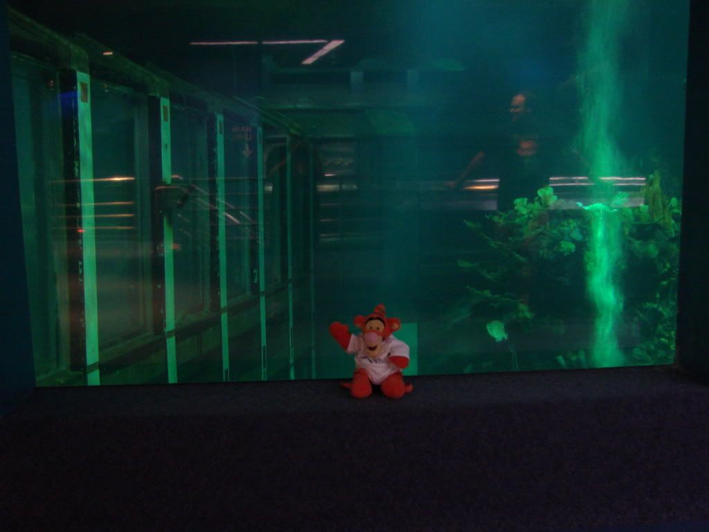 DSC00560.jpg