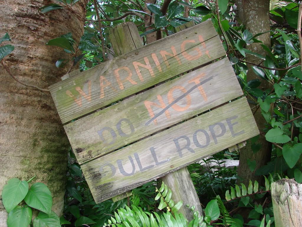 DSC00779.jpg