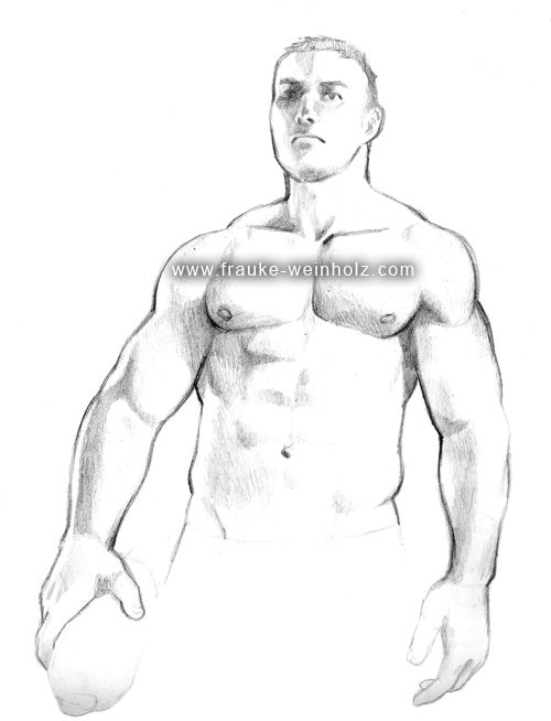  photo anatomiefront2_zps34dfa07e.jpg