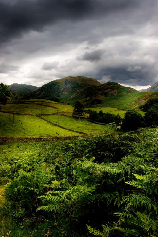 IMAGE: http://i33.photobucket.com/albums/d99/appleguygibbo/IMG_2502A.jpg