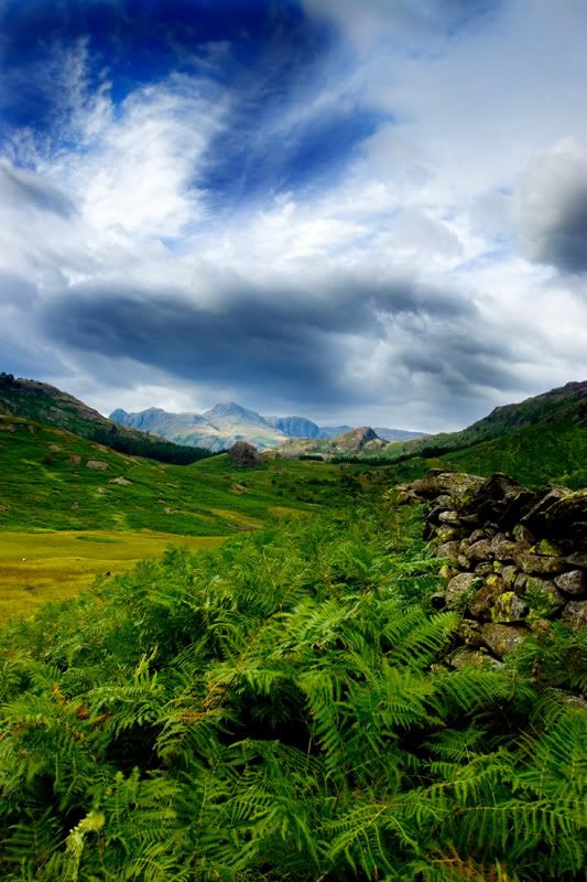 IMAGE: http://i33.photobucket.com/albums/d99/appleguygibbo/IMG_2724A.jpg