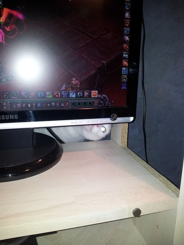 2012-01-12003238.jpg