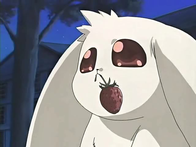 [PokeCommunity.com] D.N.Angel Fan Club