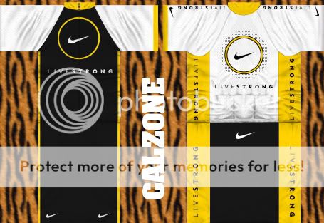 i33.photobucket.com/albums/d58/SBTF/livestrongjersey.jpg