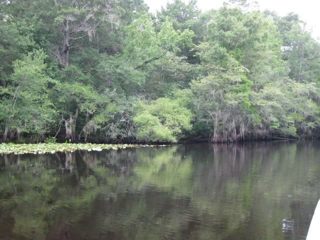 Combahee River Fishing | Dedicated To The Smallest Of Skiffs