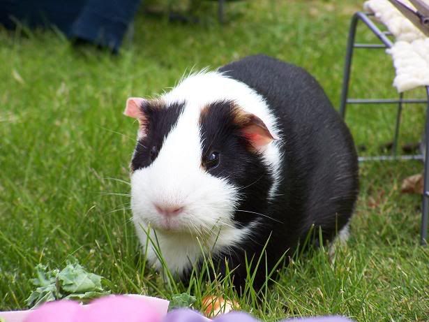 Fiona.jpg