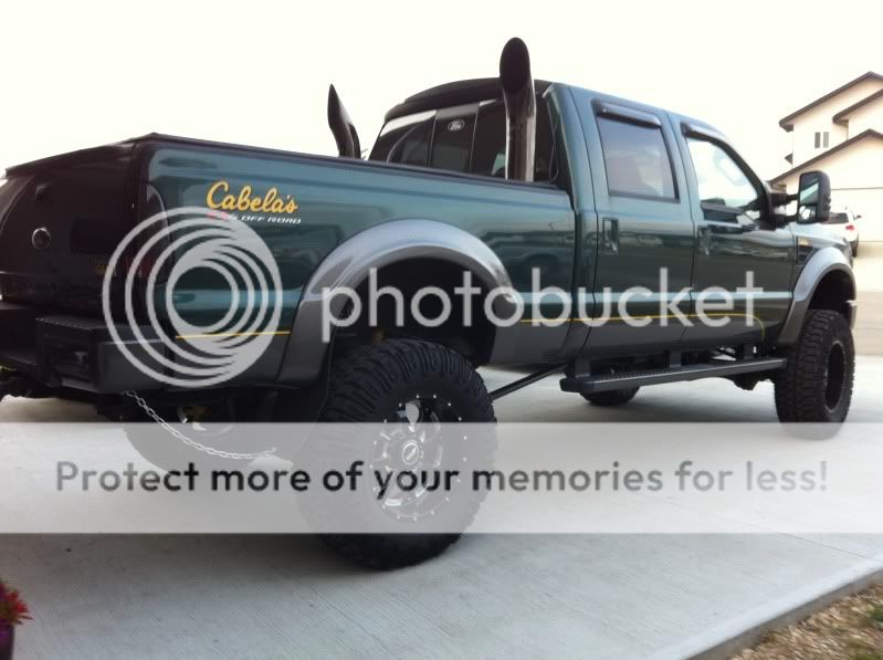 2010 Ford f350 cabelas edition for sale #6