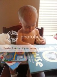 photo 1a256264-383e-4f2b-a84a-2919897fd8f5.jpg