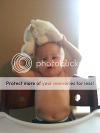 photo 261115bf-d568-44f0-8009-c3e083c83e76.jpg