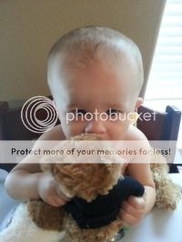 photo 311ebe8e-2afb-427e-b9c5-f06b0a98e55d.jpg